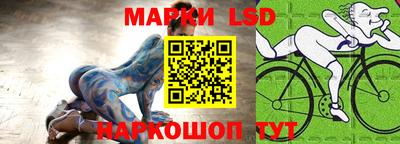 спиды Обь