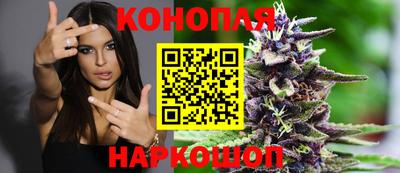 спиды Обь