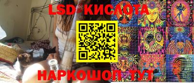 спиды Обь