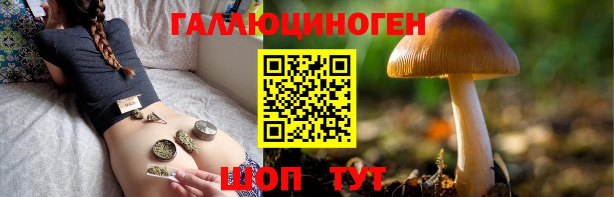Галлюциногенные грибы мицелий Рязань